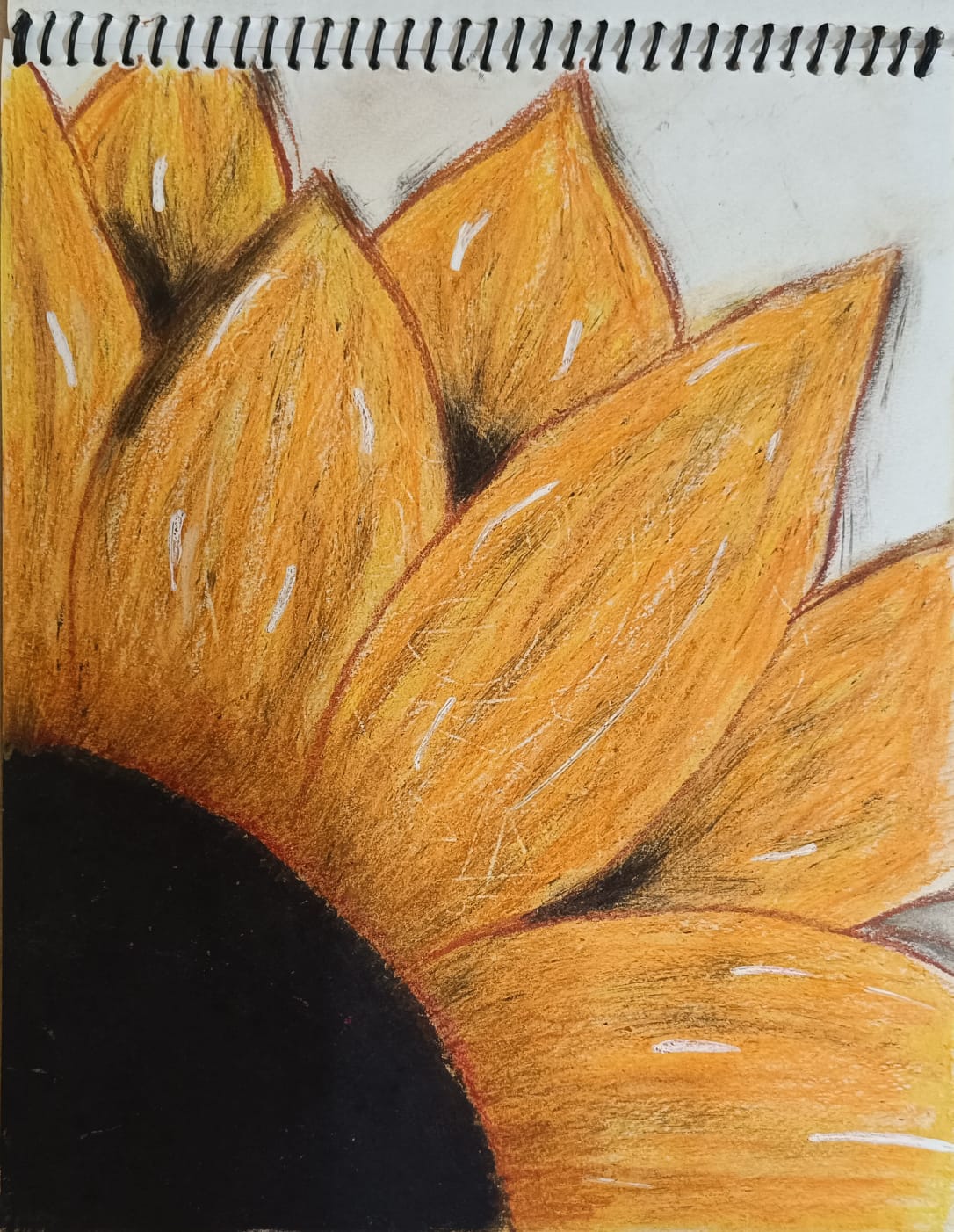 sunflower drawing